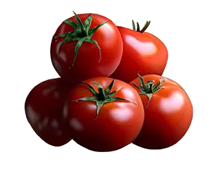 tomates prosoy sanus colombia